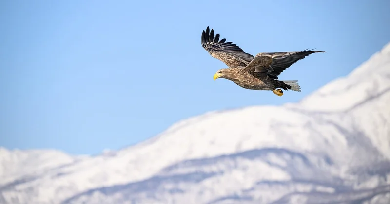 Combien coûte un bien à L'Aigle en 2026 ?
