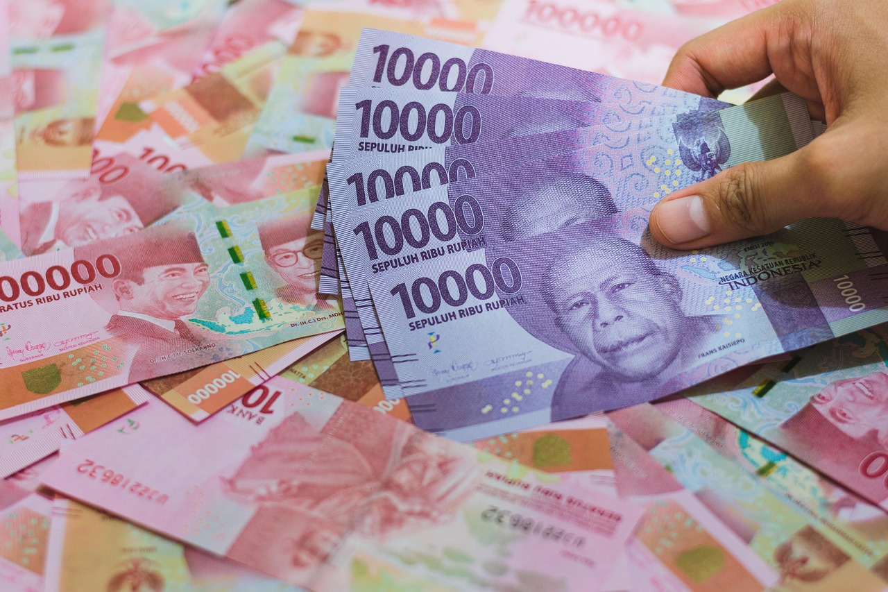 Pourquoi établir un budget prévisionnel chaque année ?
