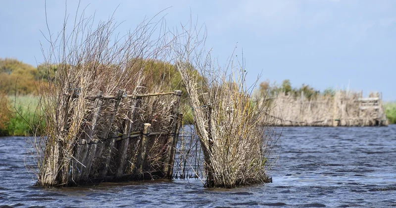 Ce qui change quand on est en Loire-Atlantique plutôt qu'ailleurs